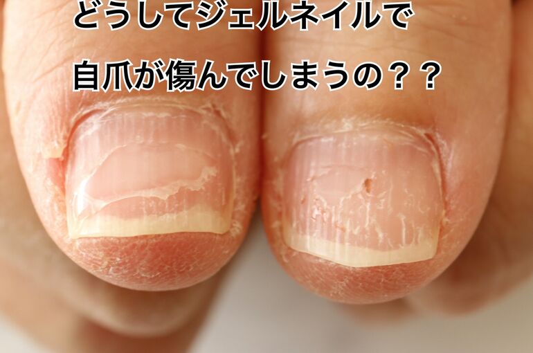 41A1EE55-D5A8-4E62-92E3-B595F501EB91